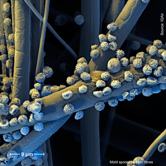 The Invisible World of Air Pollution