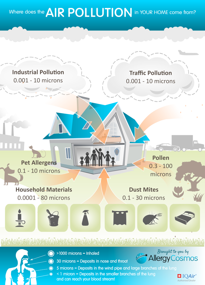 Infographics - Where Does the Air Pollution Come From?