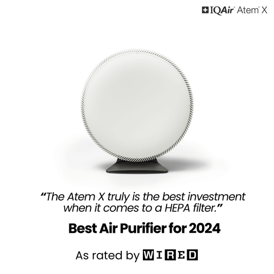 Atem X: Best Air Purifier 2024 – Wired magazine