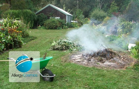 Pollution From Barbeques and Bonfires