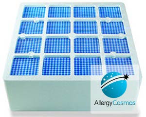 What is a HEPA Filter?
