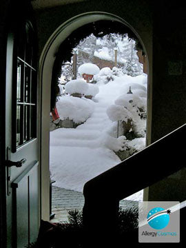 How Do I Clean the Air in My Home?