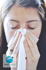 Perennial Allergic Rhinitis