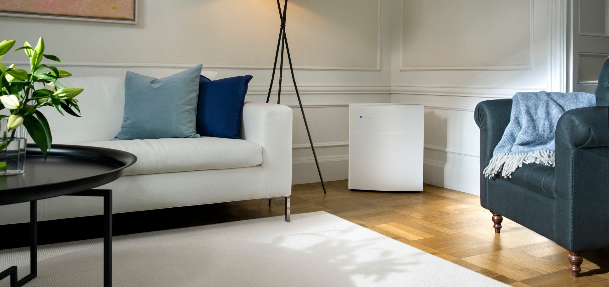 Blueair Sense in Living Room