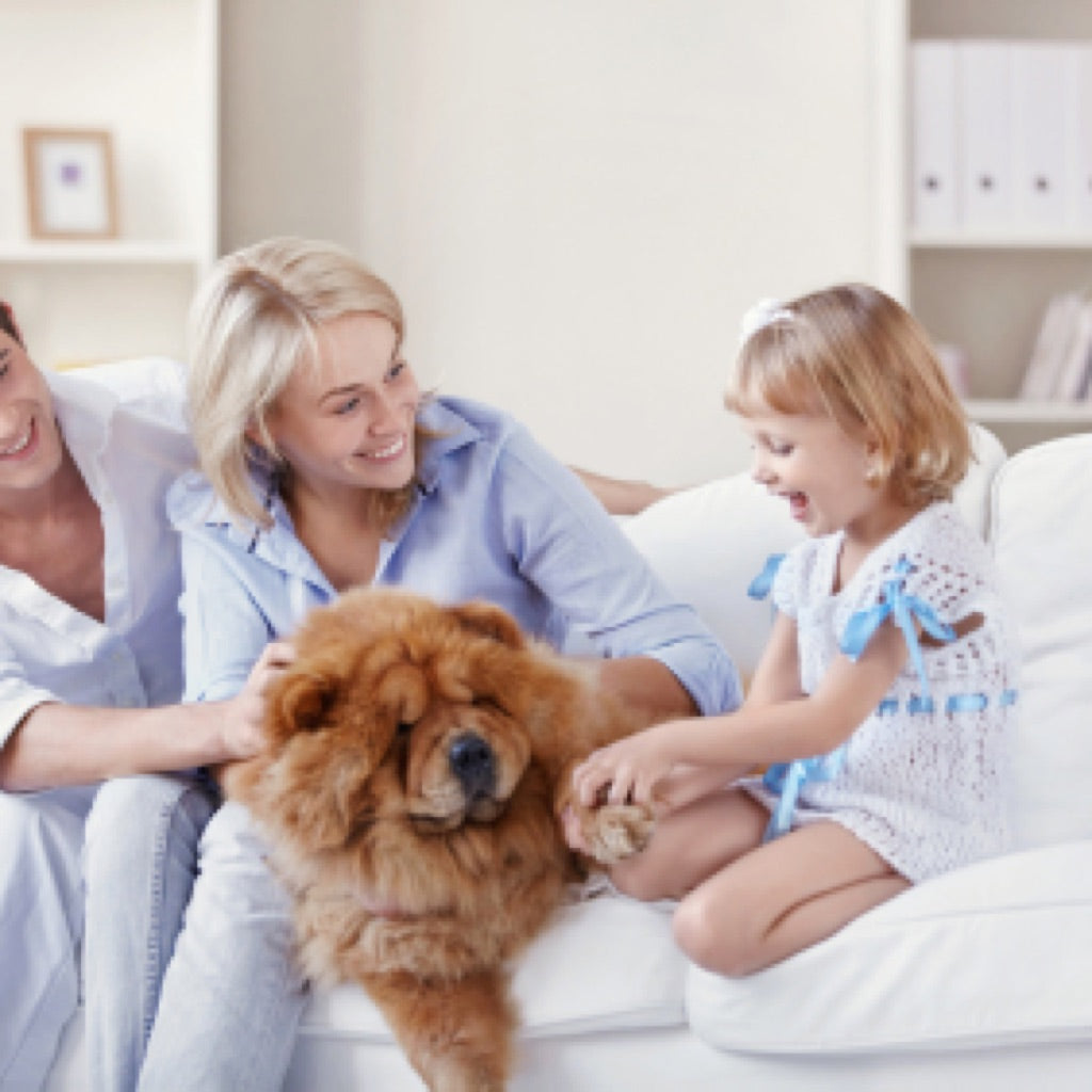 Pet allergy