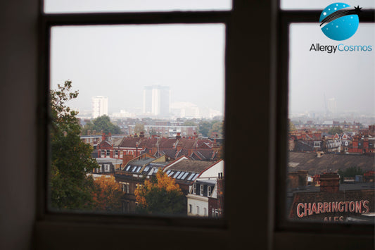 60th Anniversary of The Great Smog