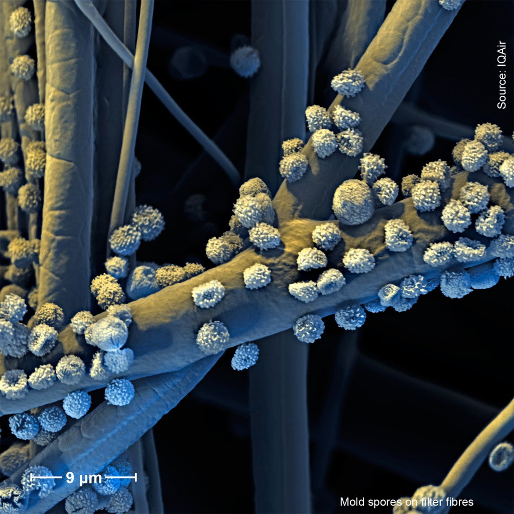 The Invisible World of Air Pollution