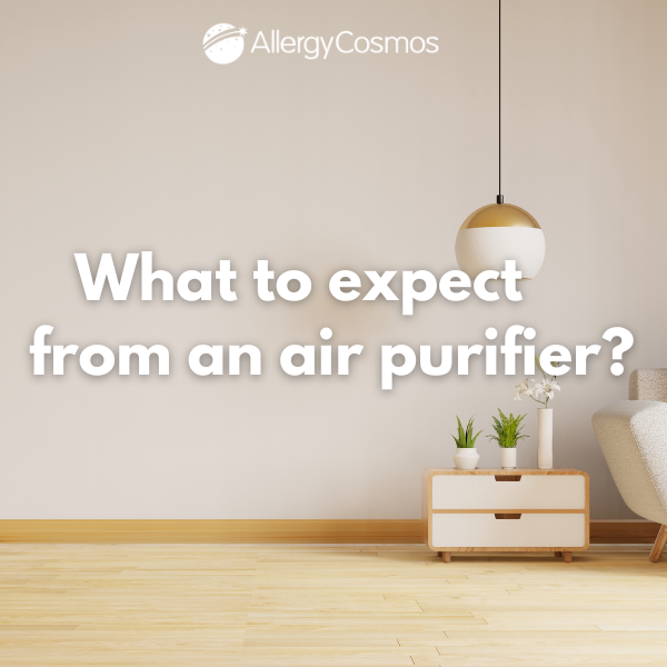 What To Expect From an Air Purifier?