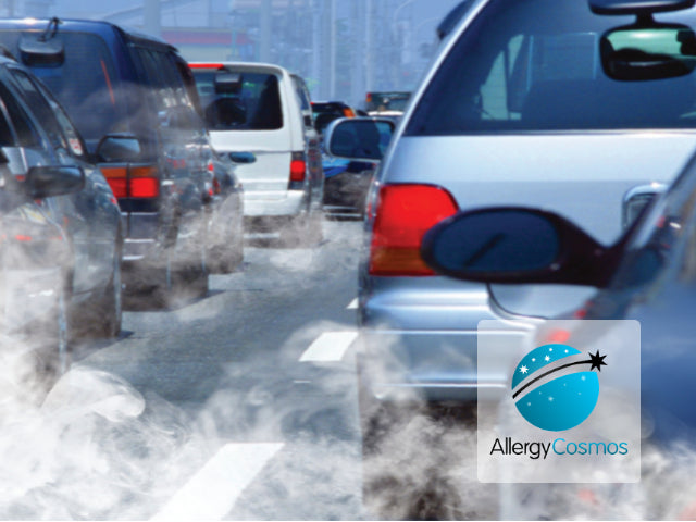 The Impact of Air Pollution on Your Brain
